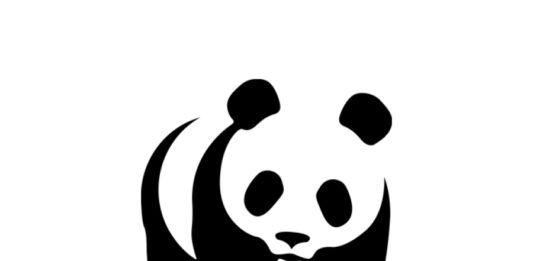 WWF Opportunity: Communication Assistant/Intern for Regional Office for Africa