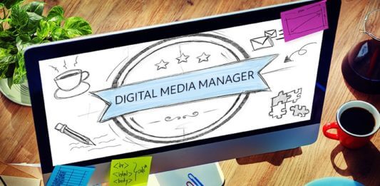 Vacancy in Youth Time: Digital Media Manager and Creative Manager