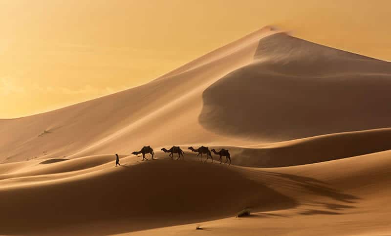 Deserts of the world 