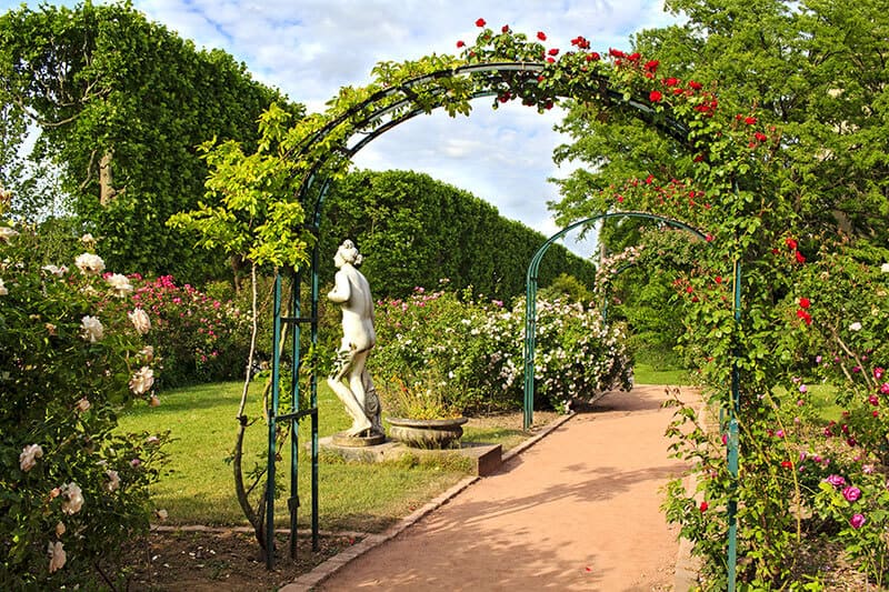 Jardin de Plant in Paris
