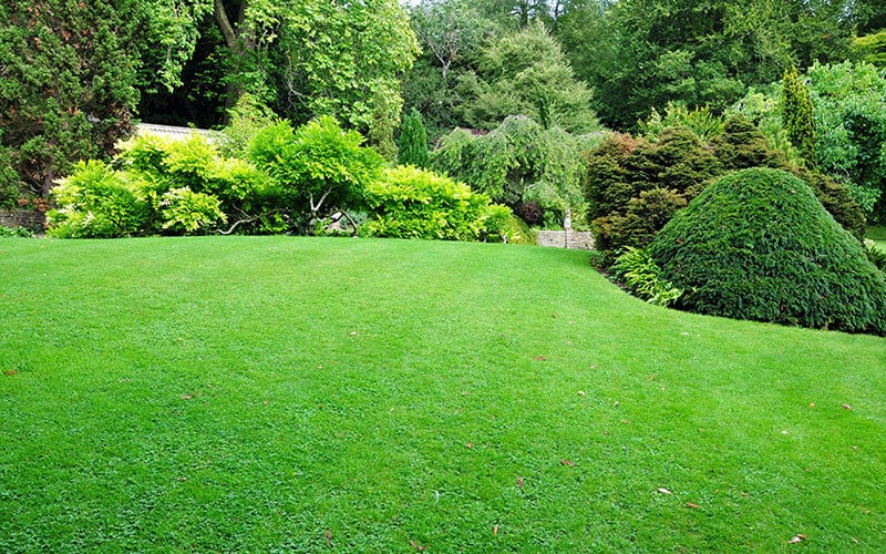 Large areas of green grass look beautiful - no doubts about it. Nevertheless, in order to keep your grass green during drought has its cost. Sprinkling water on daily bases is a done thing and consumes high quantities of water.