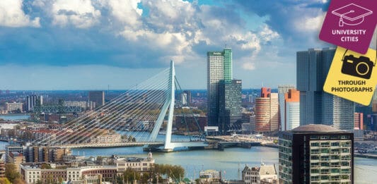 Rotterdam In Pictures