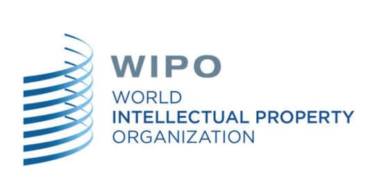 Summer Schools on Intellectual Property