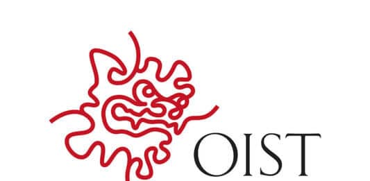 Paid OIST Graduate School Internship in Japan