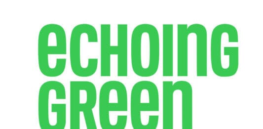 Echoing Green’s Fellowship Program