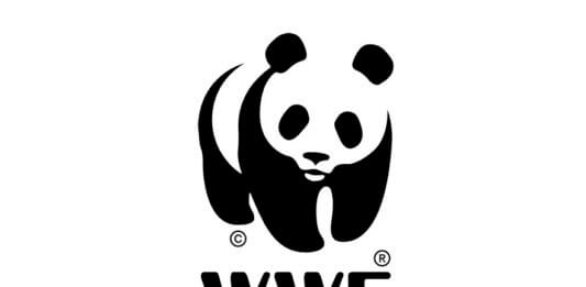 Opportunity to Volunteer with WWF Bolivia