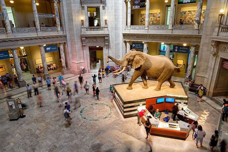 Museums for free