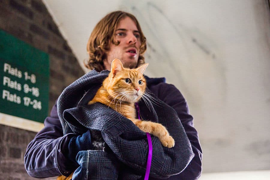 From the movie A Street Cat Named Bob