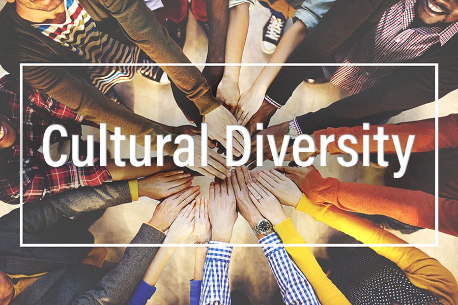Diversity in Supply Chain - (DEI) Diveristy, Equity, and Inclusion