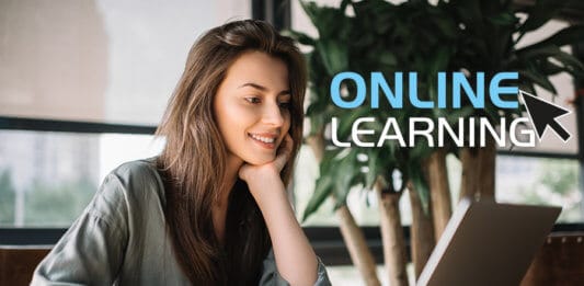 Student learning through online courses
