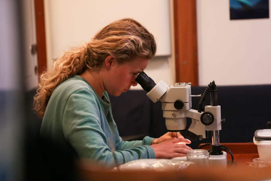 Dr. Emily Duncan examines the collected samples taken during eXXpedition´s North
