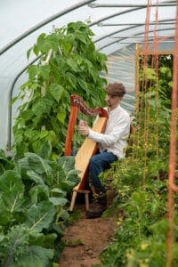 Harpist playing to the crops
