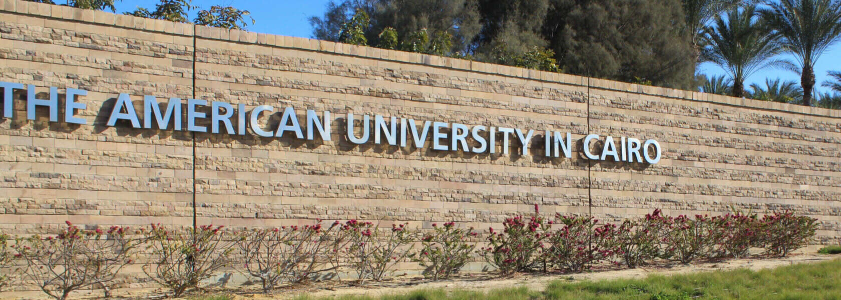 Graduate Scholarships For MENA Students At American University in Cairo
